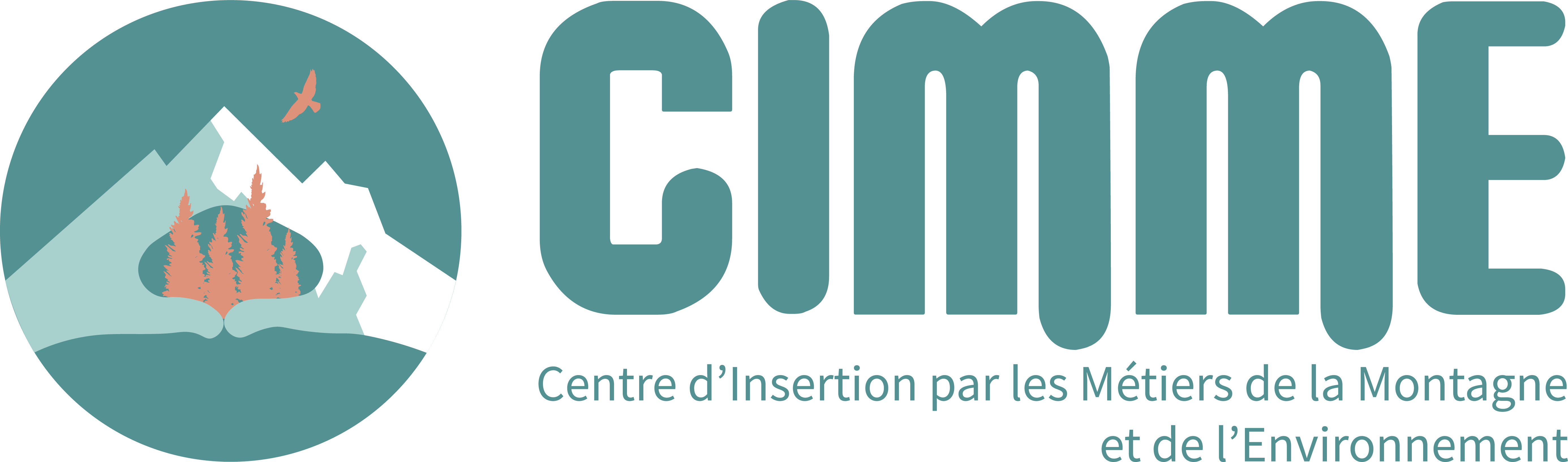 Logo CIMME