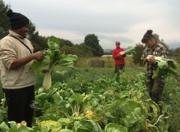 Personnes dans un jardin