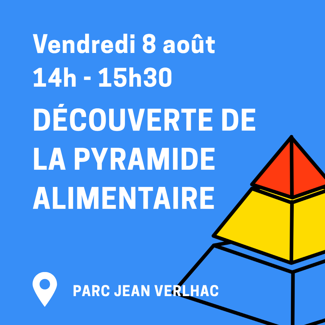 Jeu – Découverte de la pyramide alimentaire