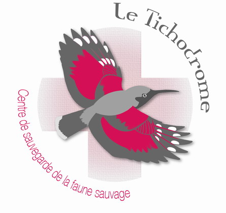 Le Tichodrome recherche un.e volontaire en service civique – Le Gua (38)
