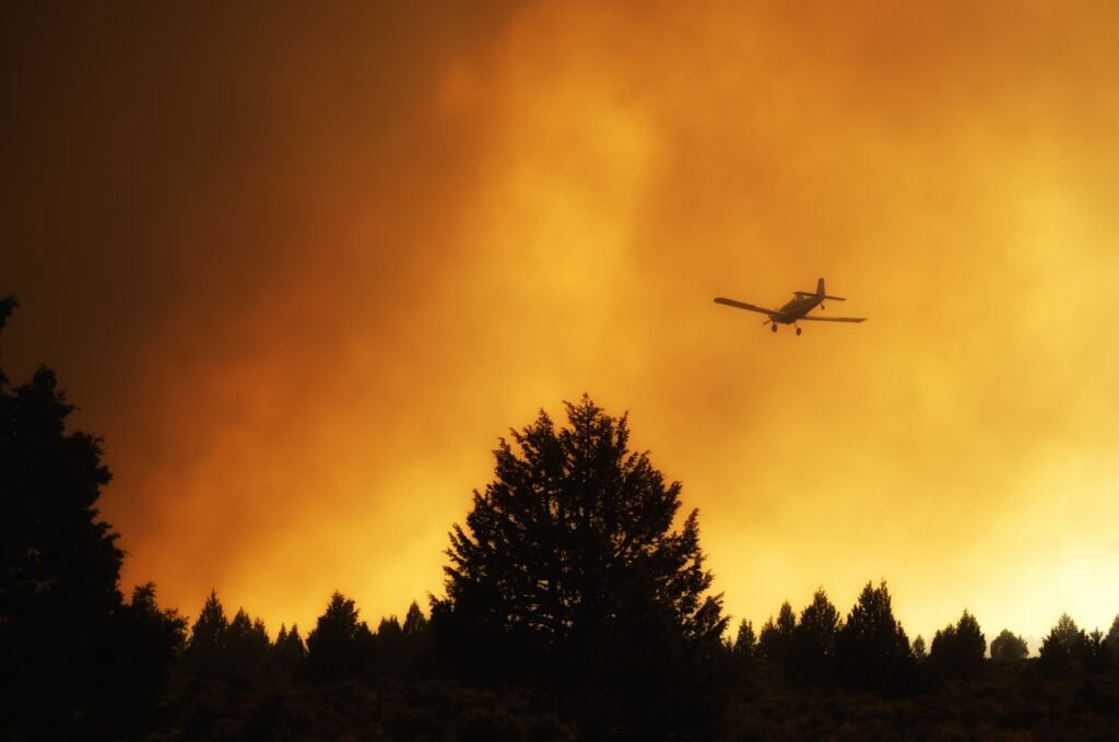Les solutions de l’ESS et des Coopératives Forestières pour éteindre l’incendie