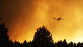 Les solutions de l’ESS et des Coopératives Forestières pour éteindre l’incendie