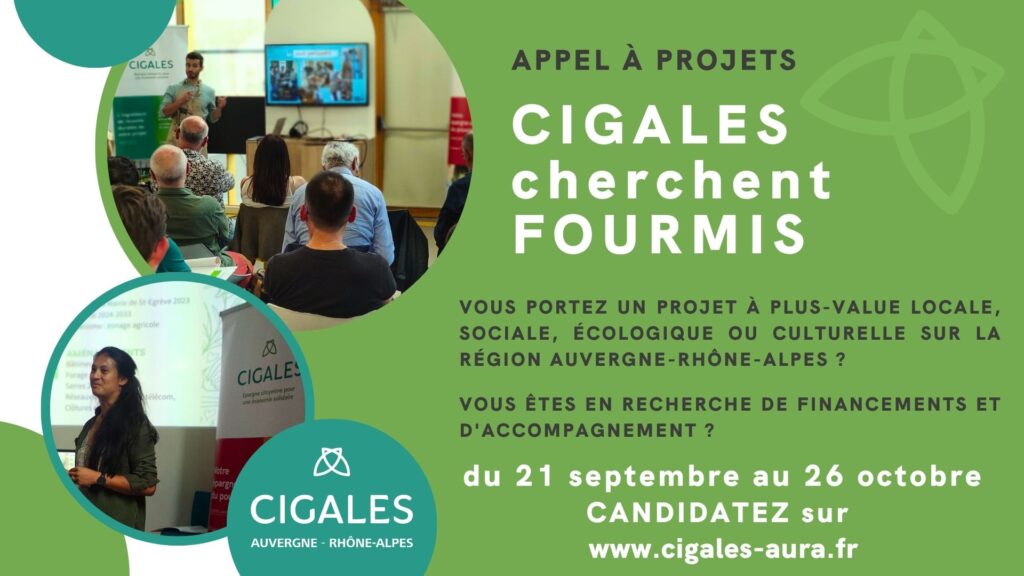 CIGALES cherchent fourmis